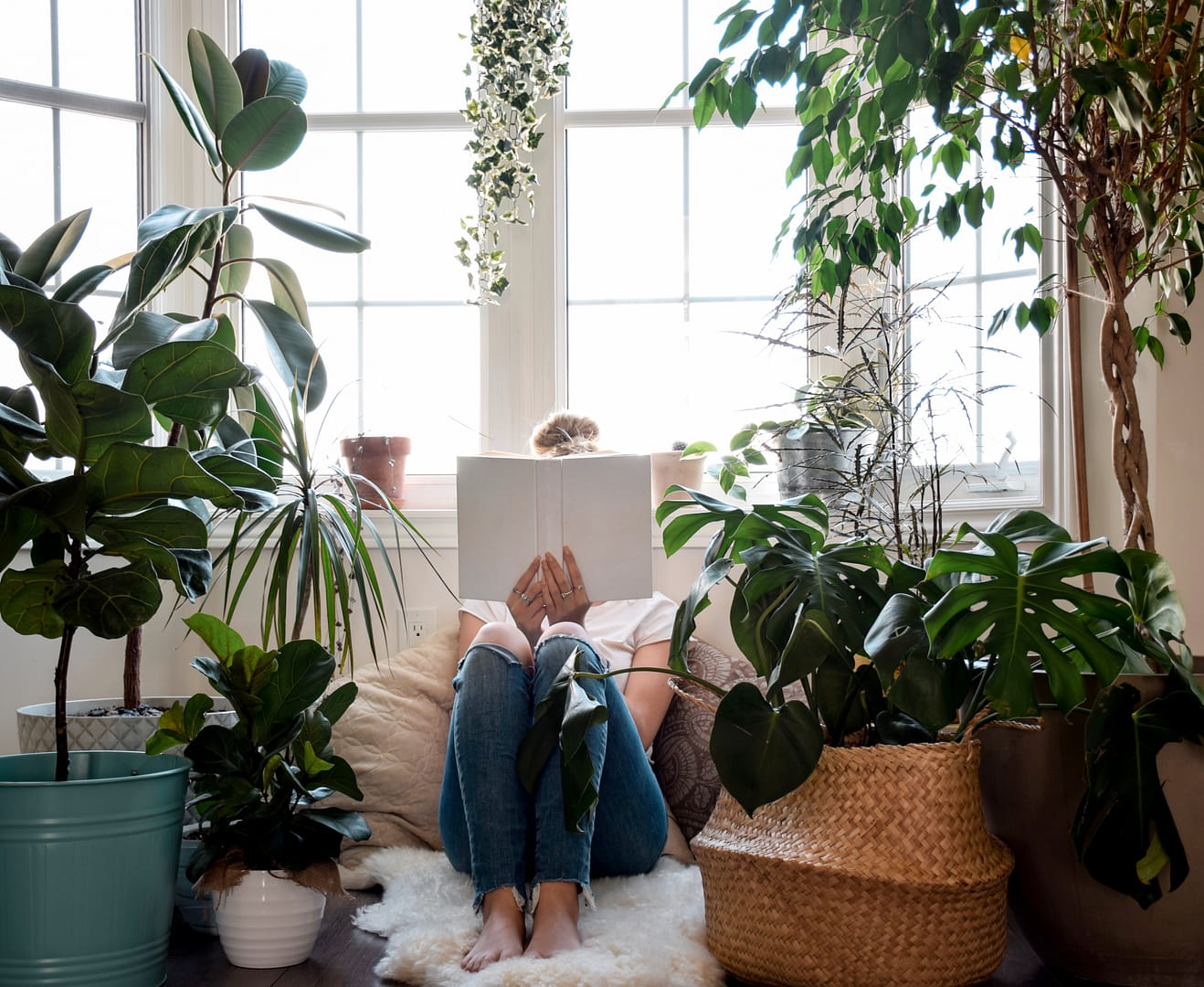 A person reading a book in a cozy corner surrounded by house plants