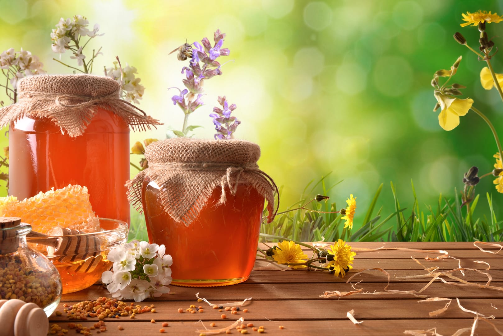 Two honey pots with green nature background with flowers