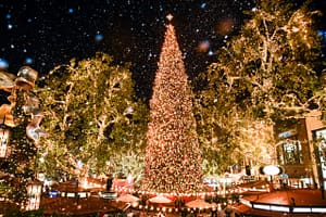 Pacific Palisades Holidays At Pallisades Village