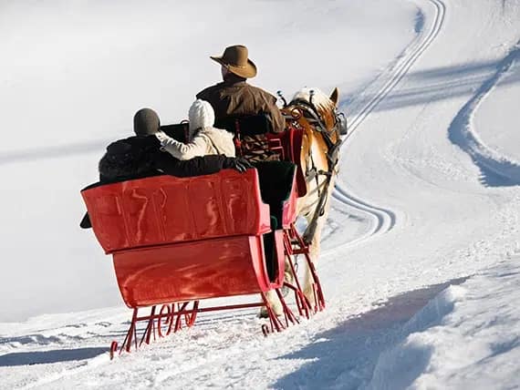Sleigh Ride In The Snow