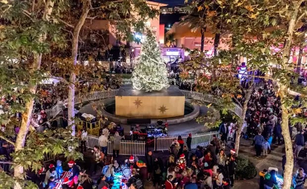 Aliso Viejo Town Center Tree Lighting