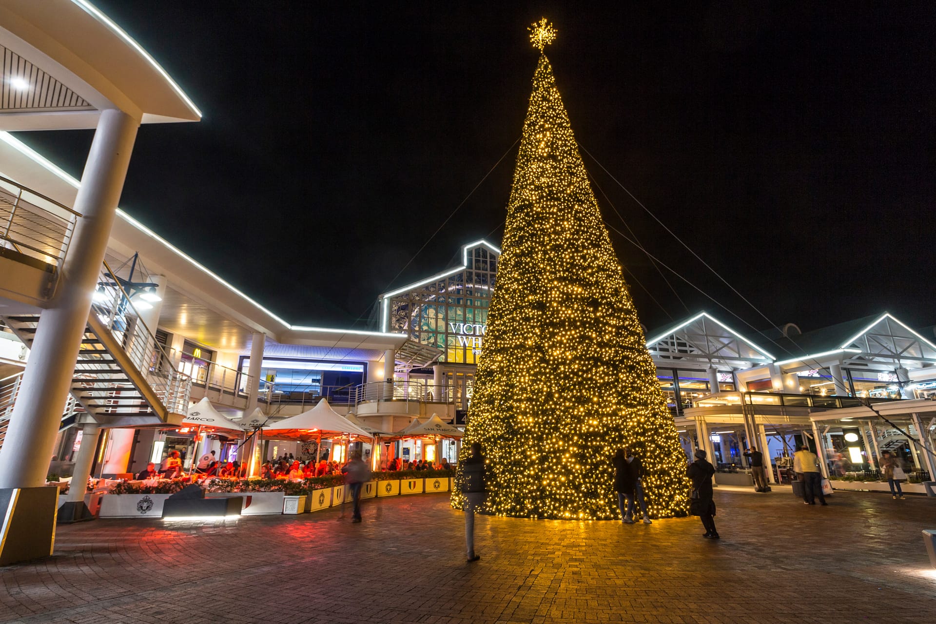 A picture of a festive Christmas tree decorated with ornaments and lights in the beautiful summer landscape of South Africa at Christmas time.